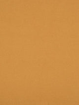 Scalamandre Superb Spice Fabric