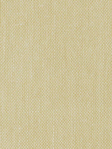 Scalamandre Alsara Sand Fabric