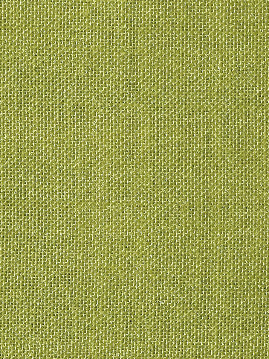 Scalamandre Alsara Kiwi Fabric