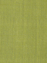 Scalamandre Alsara Kiwi Fabric