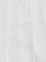 Scalamandre Seed Sheer Cloud Dancer Fabric