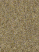 Scalamandre Polaris Curry Fabric