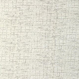 Kravet WARP WEFT POWDER Fabric