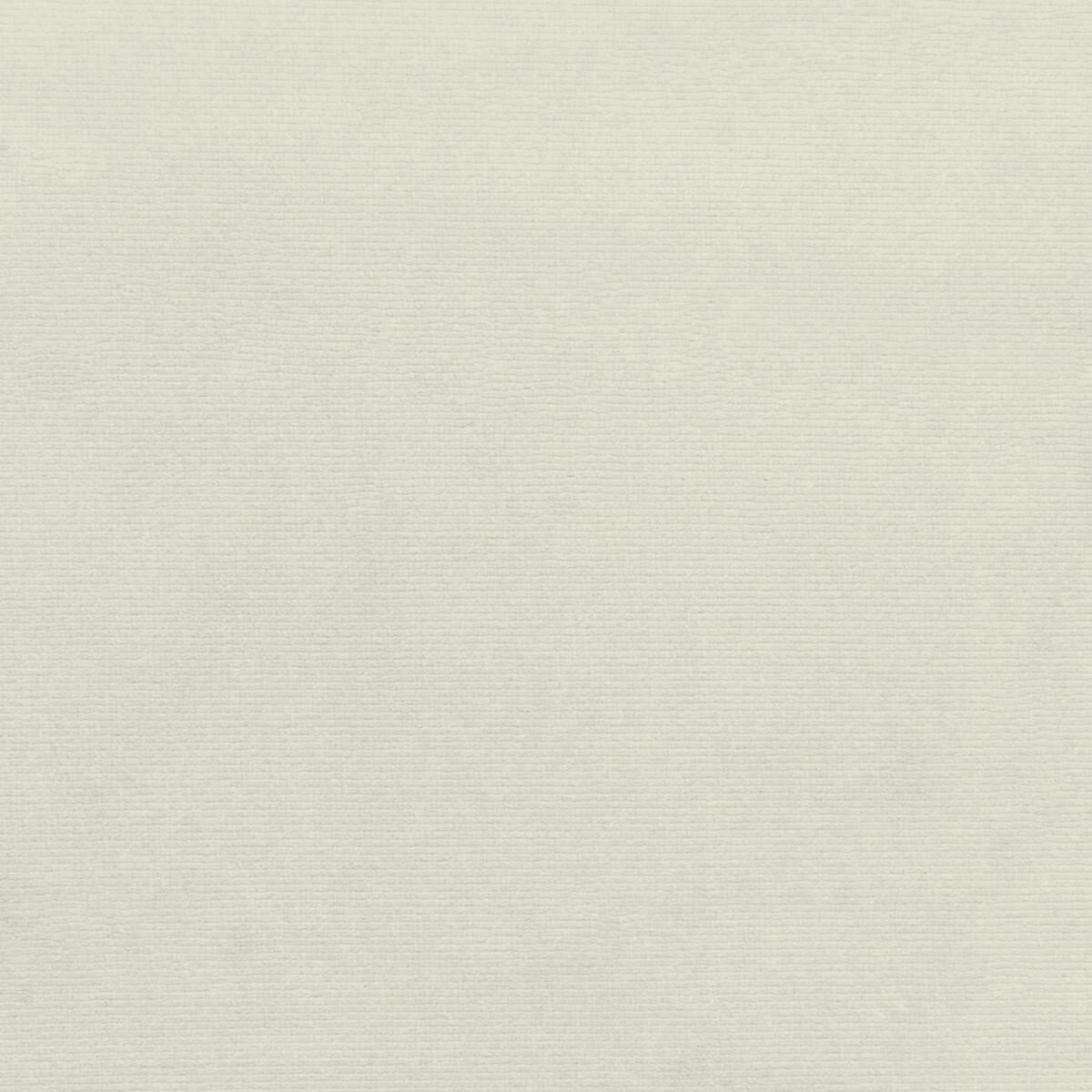 Kravet 36111 101 Fabric