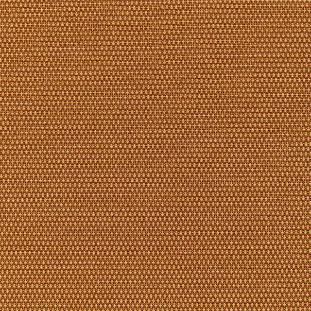 Kravet MOBILIZE GINGER Upholstery Fabric