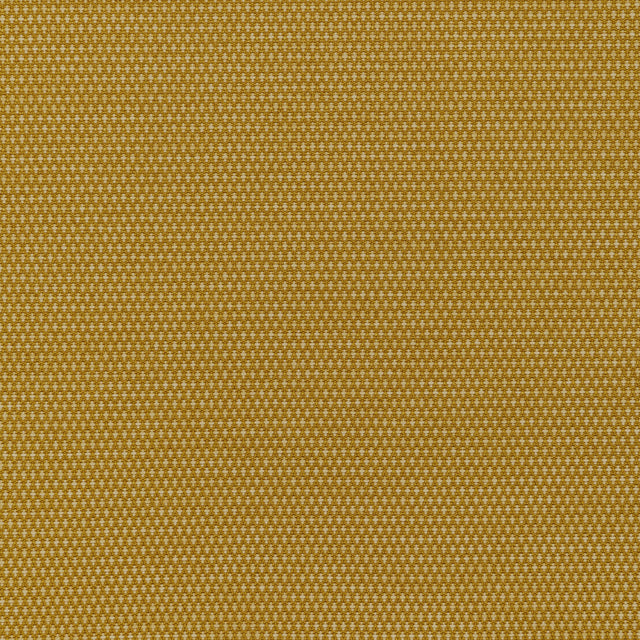 Kravet MOBILIZE MIDAS Upholstery Fabric