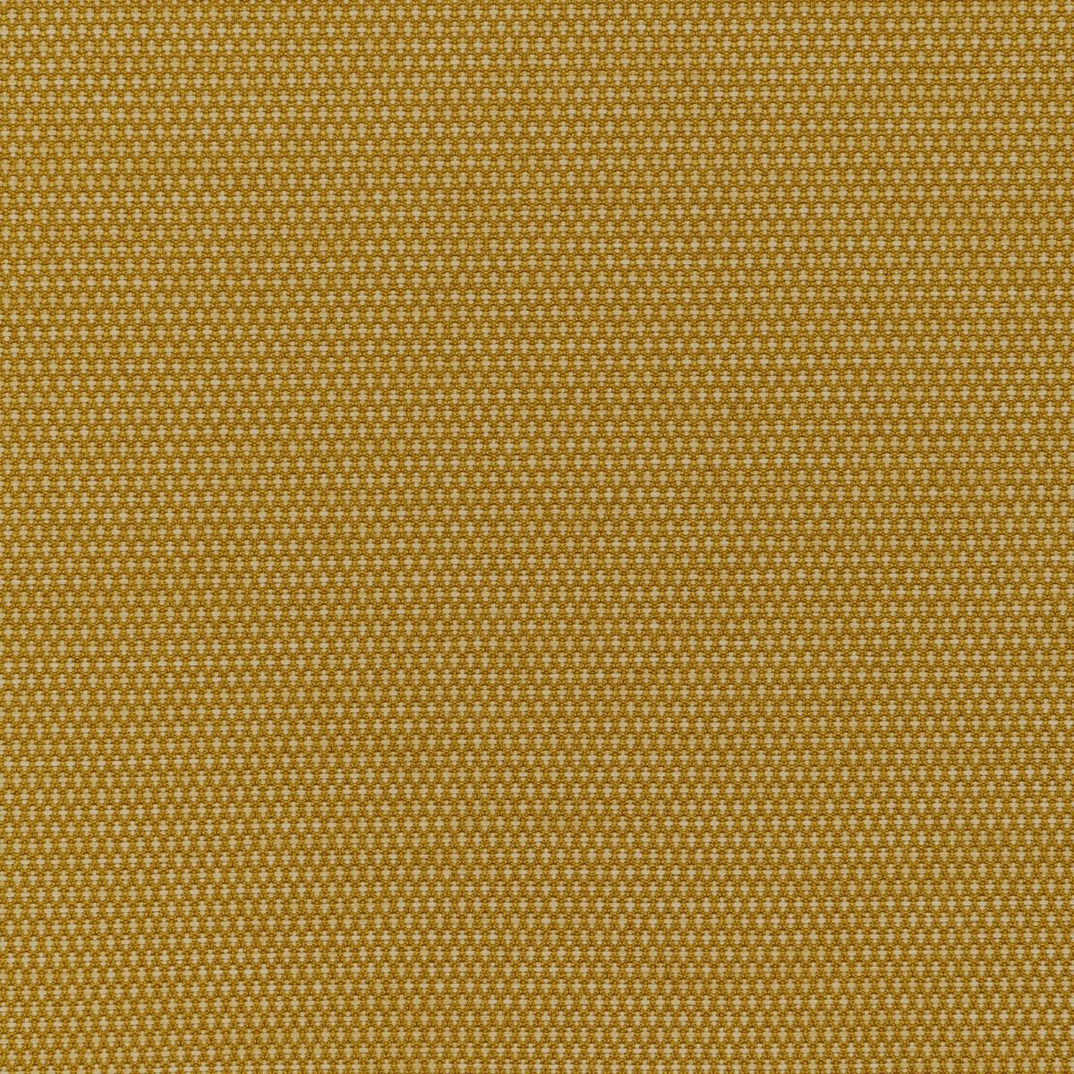 Kravet MOBILIZE MIDAS Fabric