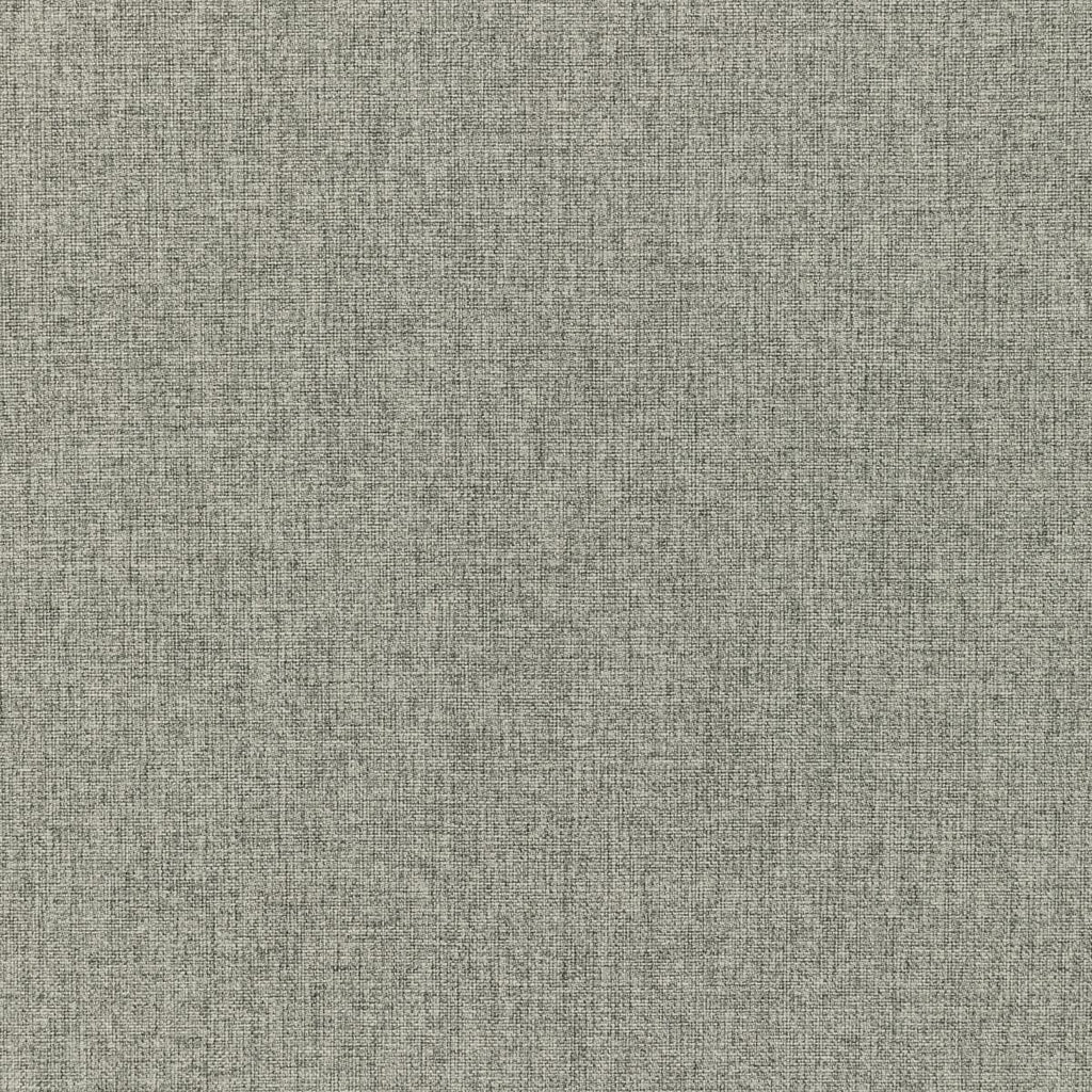 Kravet FORTIFY PUMICE Fabric