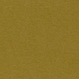 Kravet HURDLE LEMONGRASS Fabric