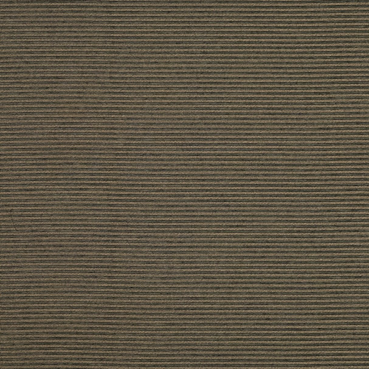 Clarke & Clarke MATTEO EBONY/GOLD Drapery Fabric