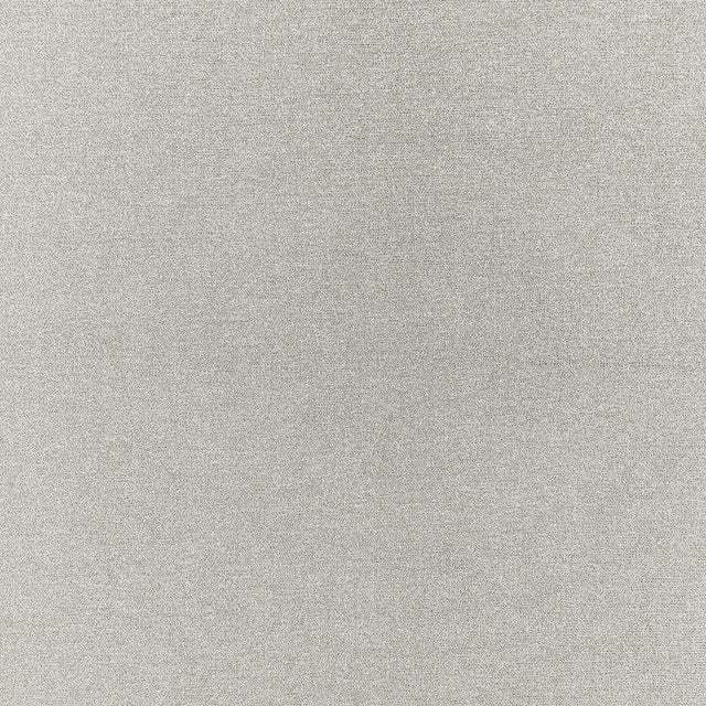 Clarke & Clarke ACIES SILVER Upholstery Fabric