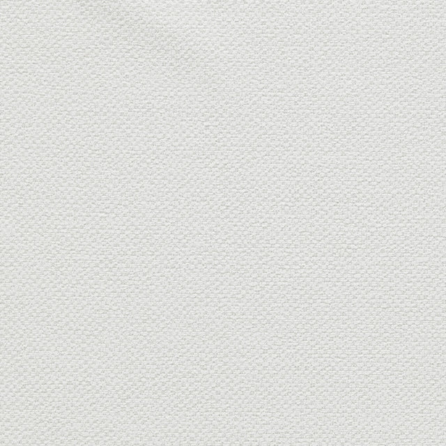 Clarke & Clarke FILUM POLAR Upholstery Fabric