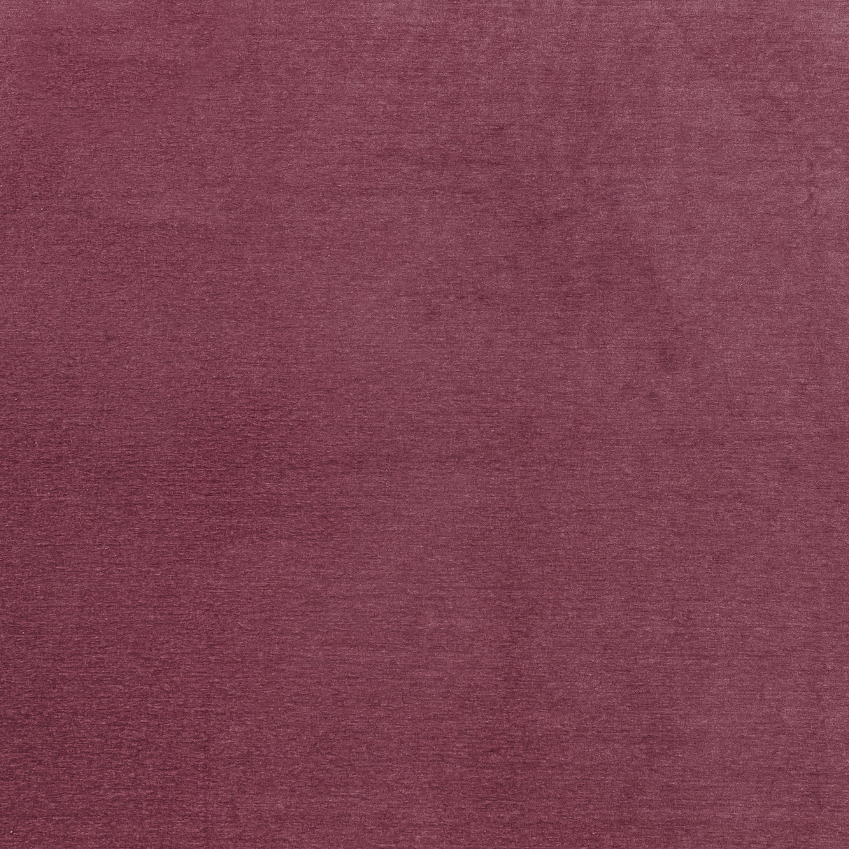 Clarke & Clarke MACULO RASPBERRY Upholstery Fabric