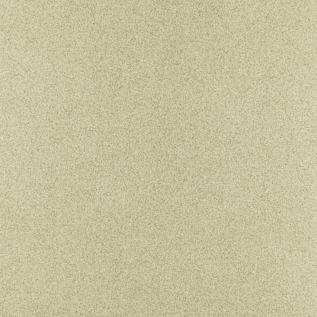 Clarke & Clarke MISTO SESAME Upholstery Fabric