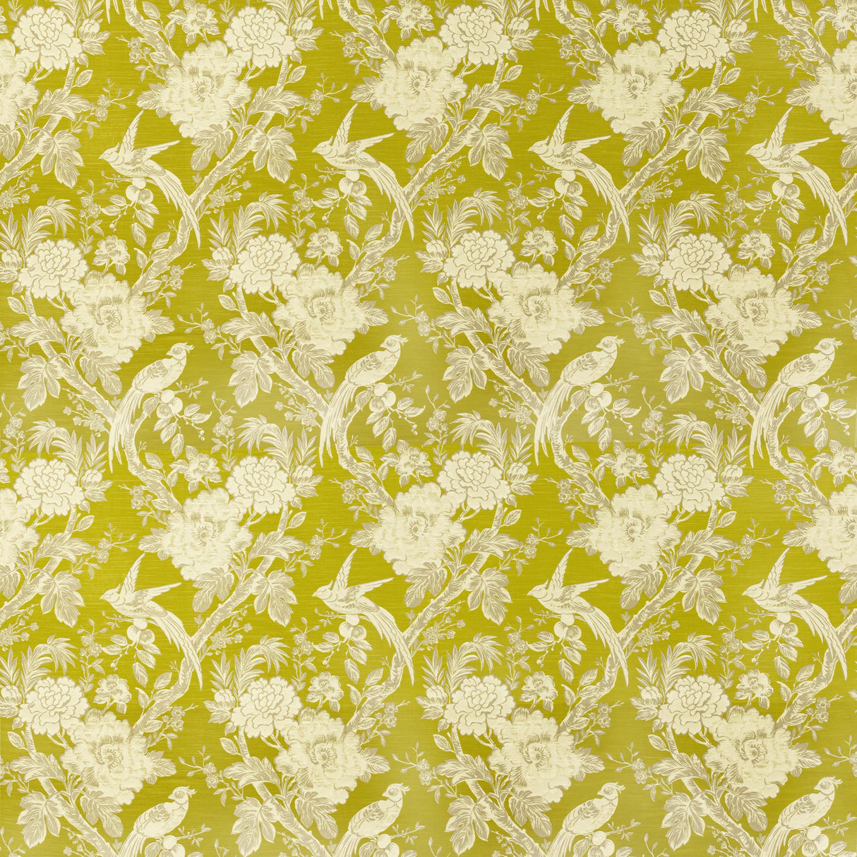 Clarke & Clarke AVIUM CHARTREUSE Fabric
