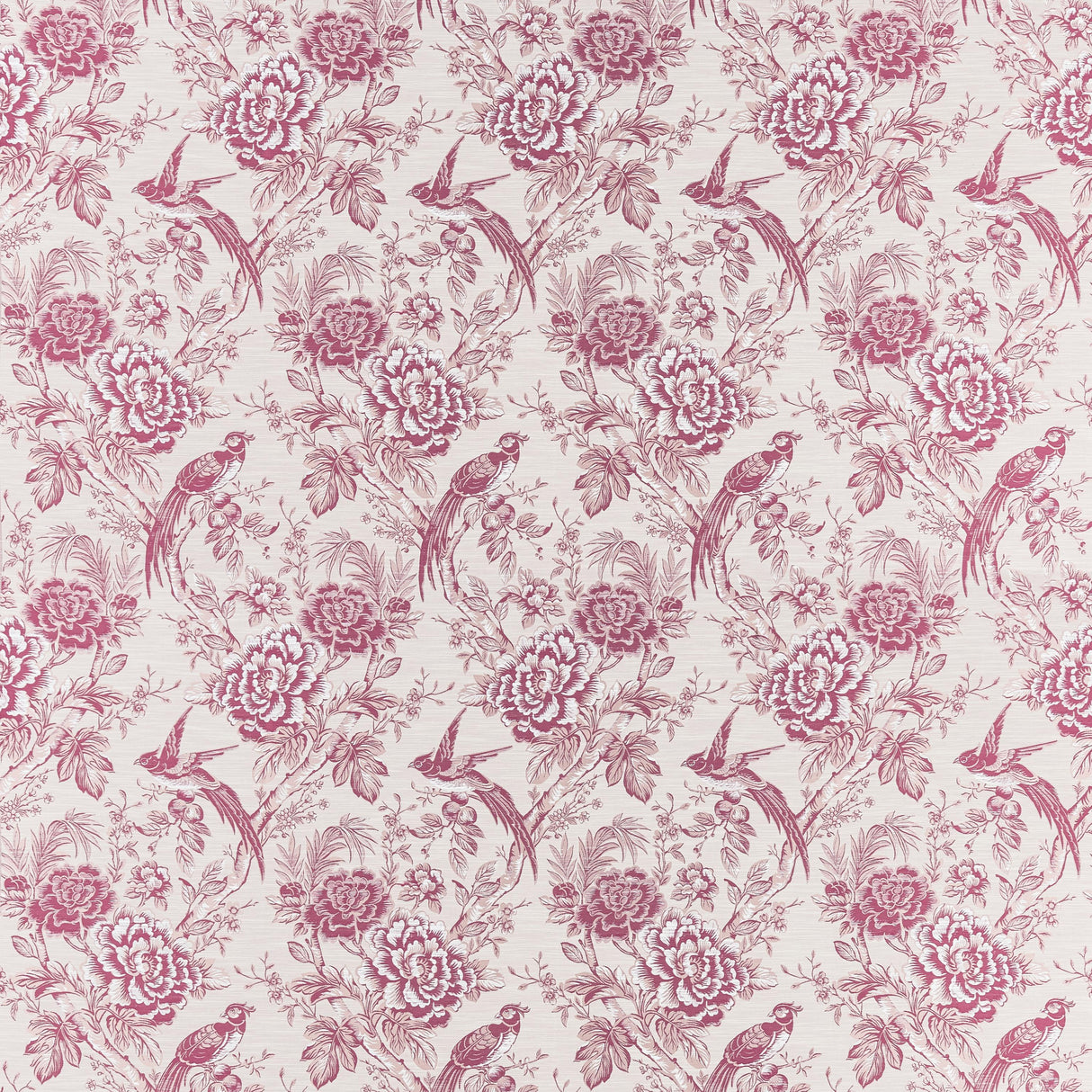 Clarke & Clarke AVIUM RASPBERRY Fabric