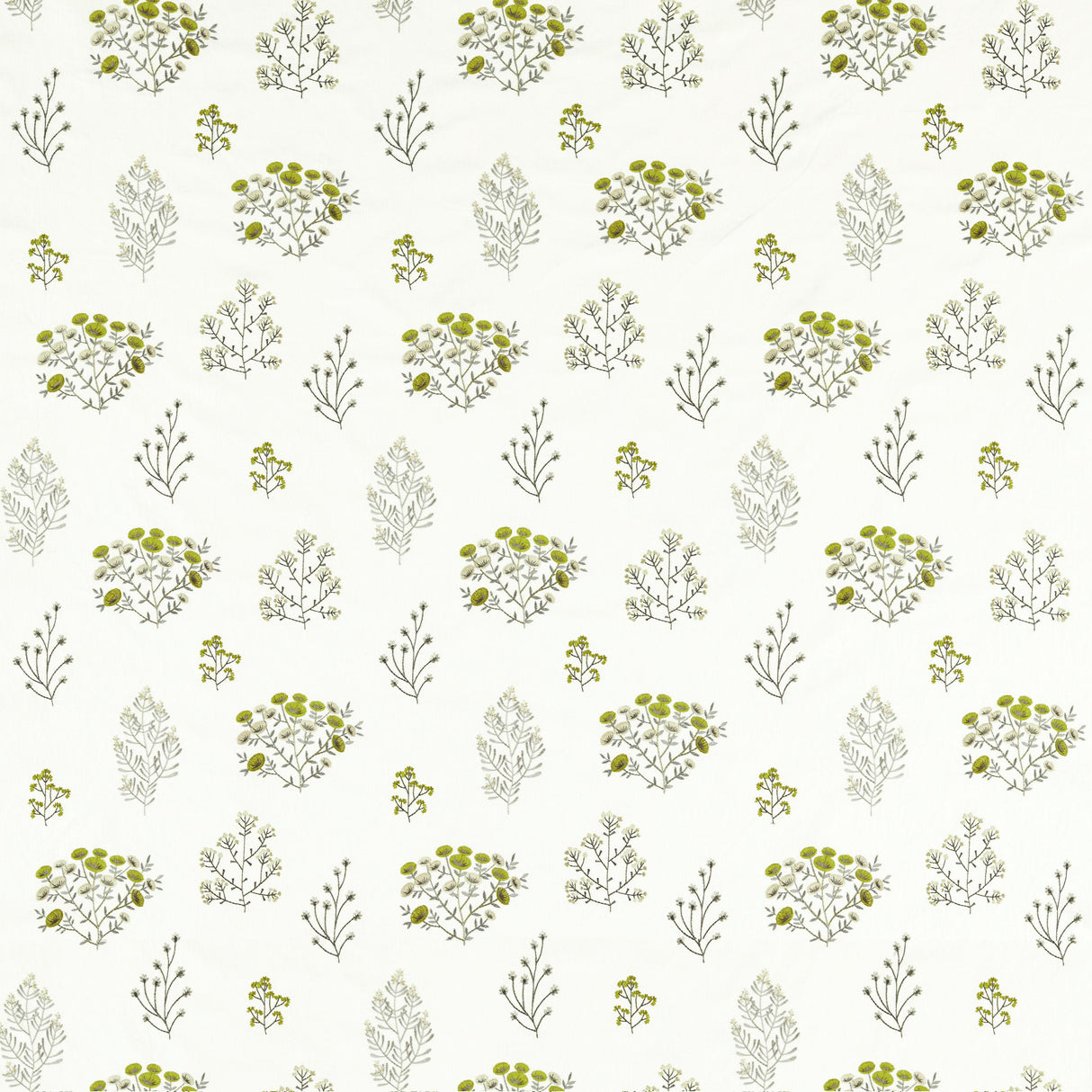 Clarke & Clarke FLORIS CHARTREUSE Fabric