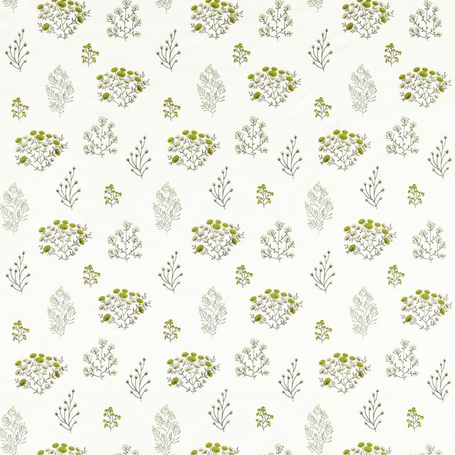 Clarke & Clarke FLORIS CHARTREUSE Fabric