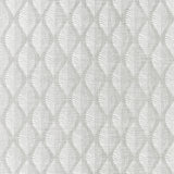 Clarke & Clarke ASPEN SILVER Fabric