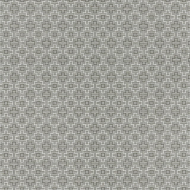 Clarke & Clarke AZTEC CHARCOAL Upholstery Fabric
