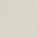 Clarke & Clarke AZTEC IVORY Upholstery Fabric