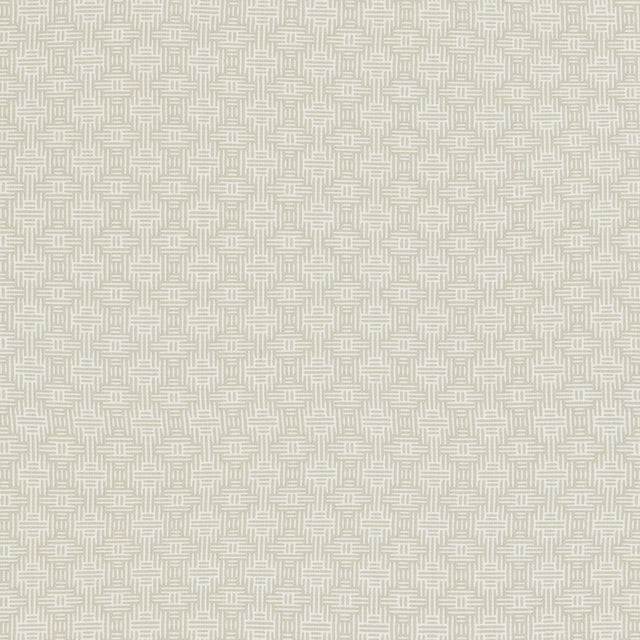 Clarke & Clarke AZTEC IVORY Upholstery Fabric