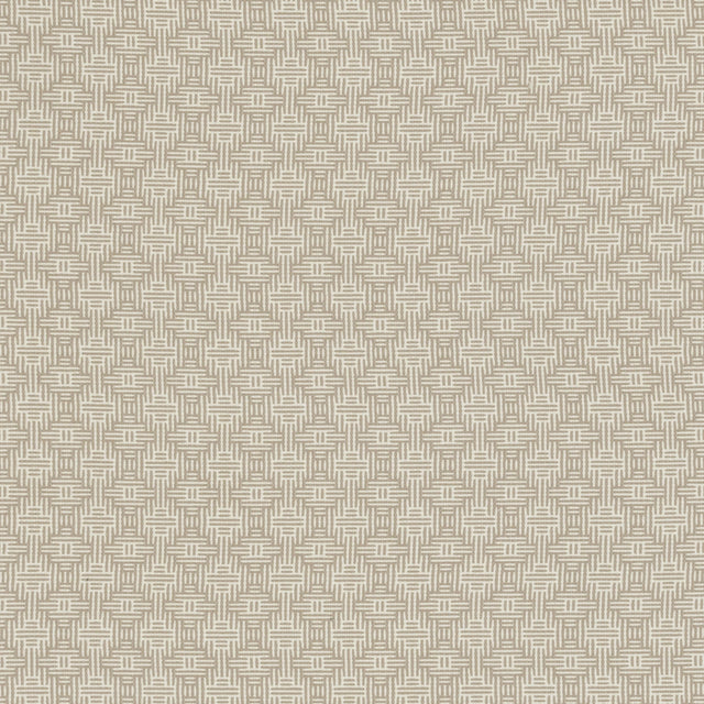 Clarke & Clarke AZTEC LINEN Upholstery Fabric