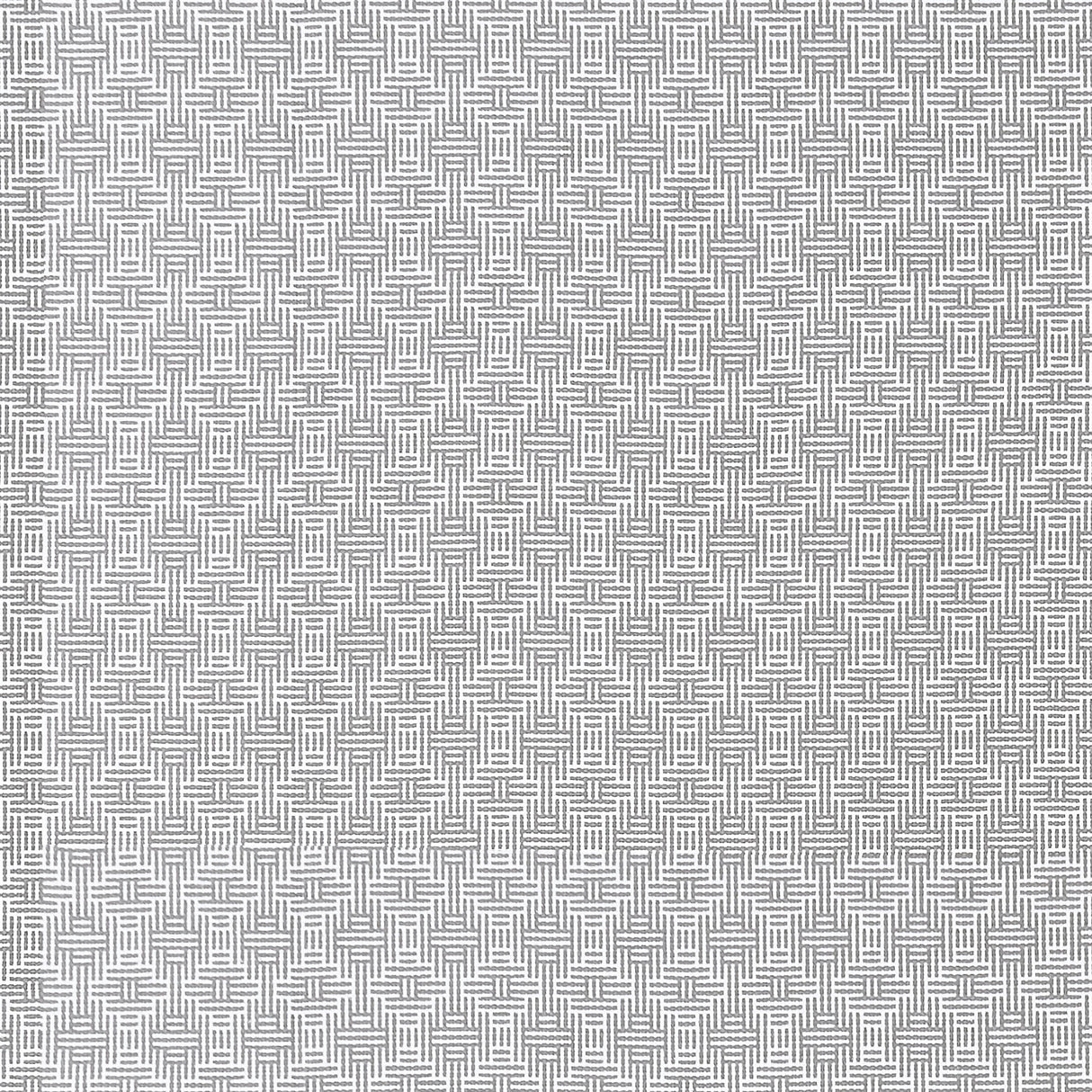 Clarke & Clarke AZTEC SILVER Upholstery Fabric
