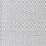 Clarke & Clarke AZTEC SILVER Upholstery Fabric