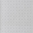 Clarke & Clarke AZTEC SILVER Upholstery Fabric