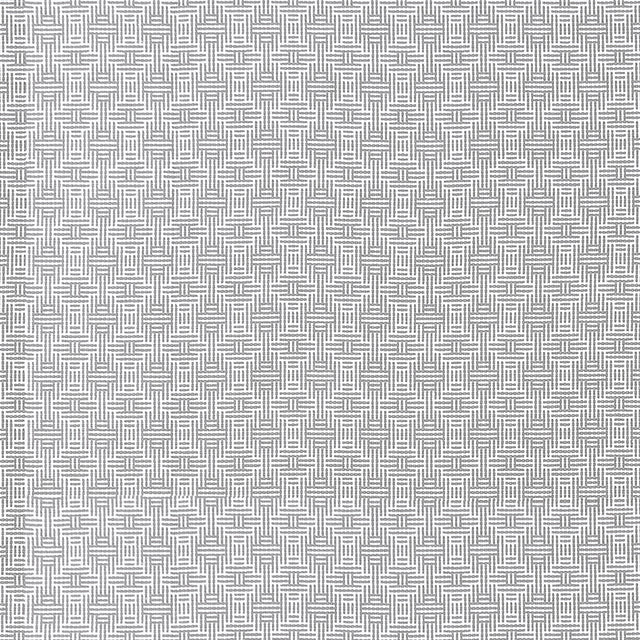 Clarke & Clarke AZTEC SILVER Upholstery Fabric