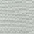 Clarke & Clarke GALLIONI SILVER Upholstery Fabric