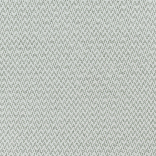 Clarke & Clarke GALLIONI SILVER Upholstery Fabric