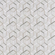 Clarke & Clarke LINEAR LINEN Fabric