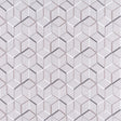 Clarke & Clarke LINEAR SILVER Fabric