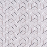 Clarke & Clarke LINEAR SILVER Fabric