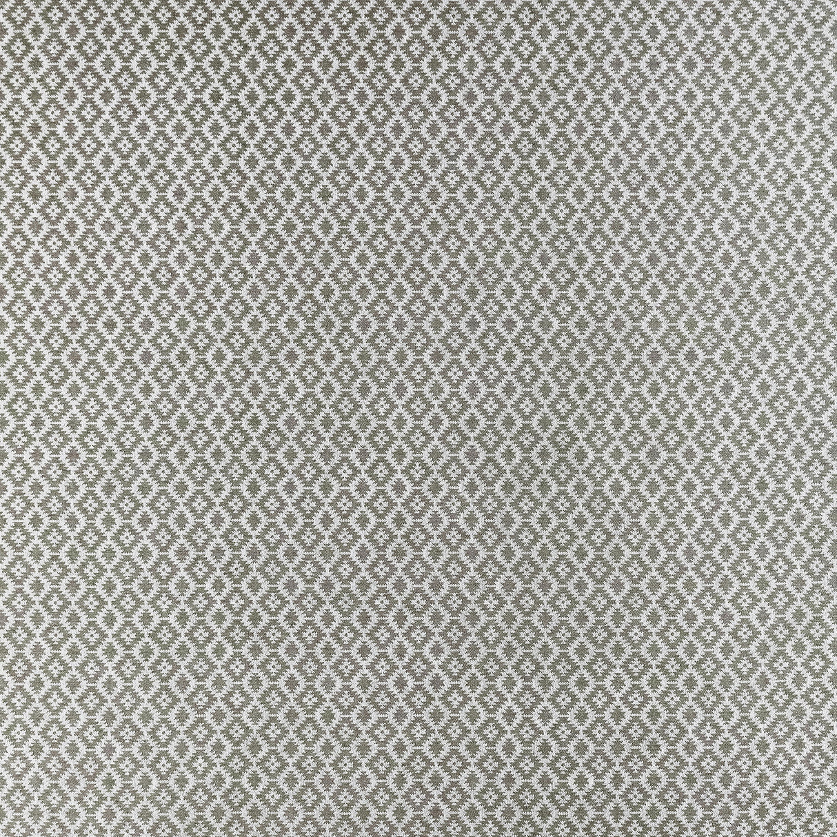 Clarke & Clarke MONO CHARCOAL Upholstery Fabric