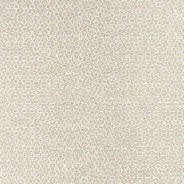 Clarke & Clarke MONO IVORY/LINEN Upholstery Fabric