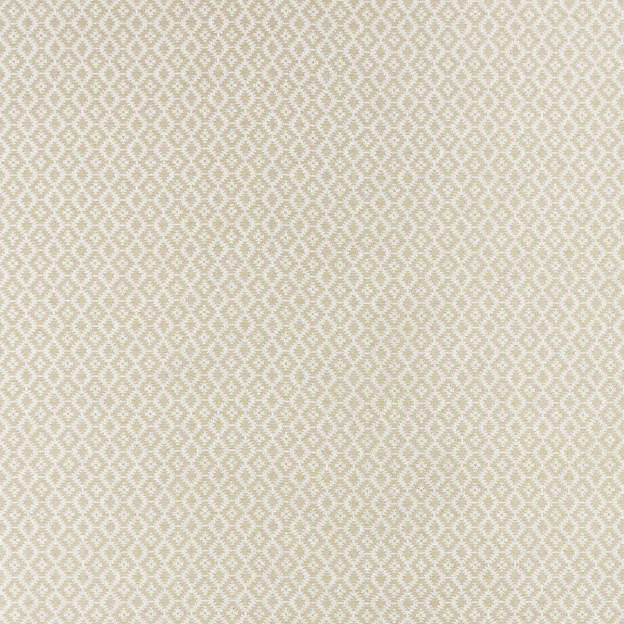Clarke & Clarke MONO IVORY/LINEN Upholstery Fabric