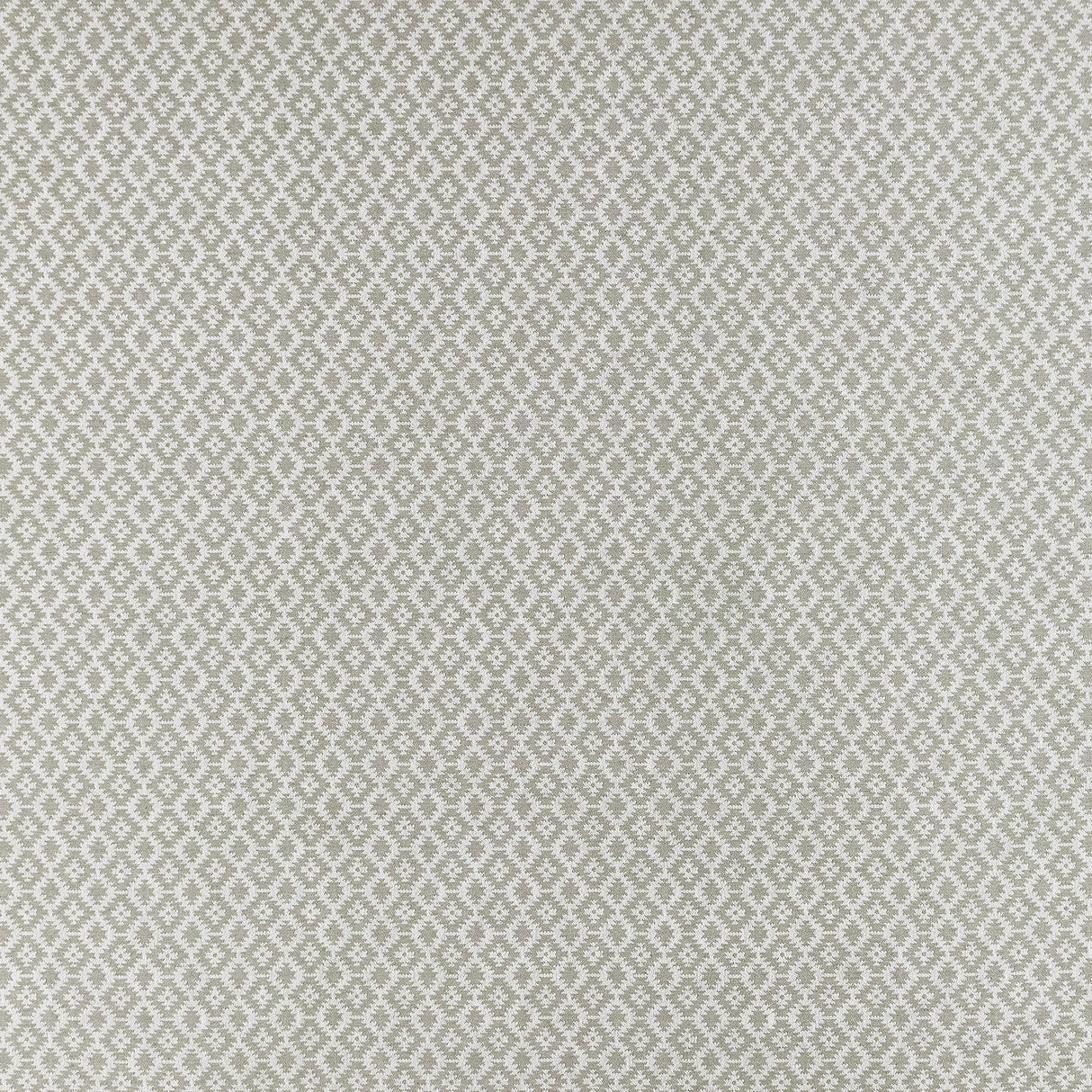 Clarke & Clarke MONO SILVER Upholstery Fabric