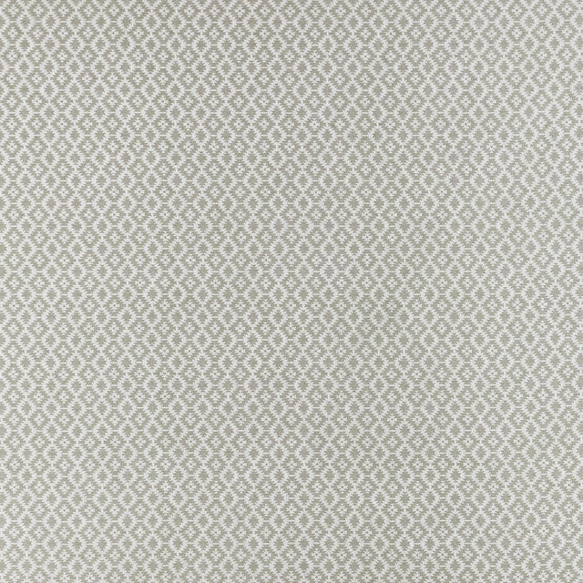 Clarke & Clarke MONO SILVER Upholstery Fabric