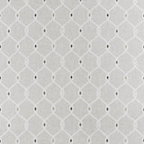 Clarke & Clarke OPUS SILVER Fabric