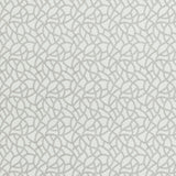 Clarke & Clarke PANACHE IVORY Fabric