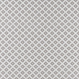 Clarke & Clarke PARAGON SILVER Fabric