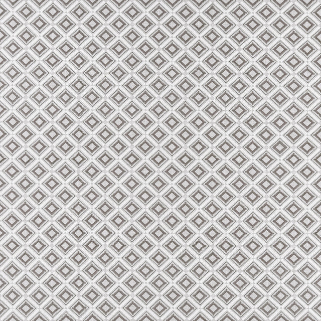 Clarke & Clarke PARAGON SILVER Fabric