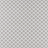 Clarke & Clarke PARAGON SILVER Fabric