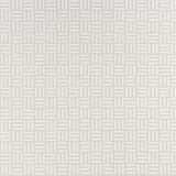 Clarke & Clarke PARALLEL IVORY Fabric