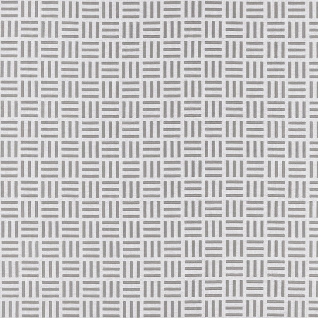 Clarke & Clarke PARALLEL SILVER Fabric