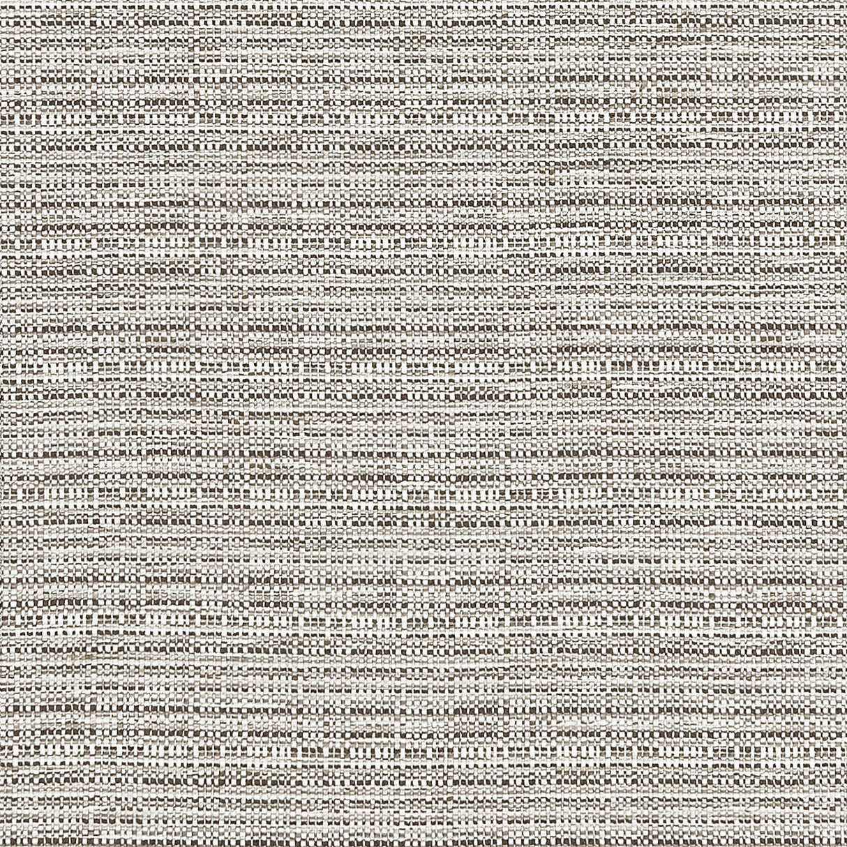 Clarke & Clarke RAMIE SILVER Upholstery Fabric