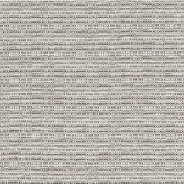Clarke & Clarke RAMIE SILVER Upholstery Fabric